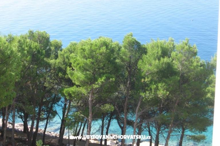 Apartments Šimun – photo 20