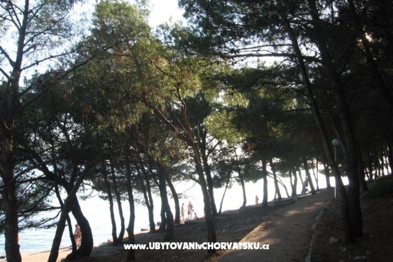 Apartments Šimun – photo 25