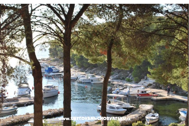 Apartments Šimun – photo 29