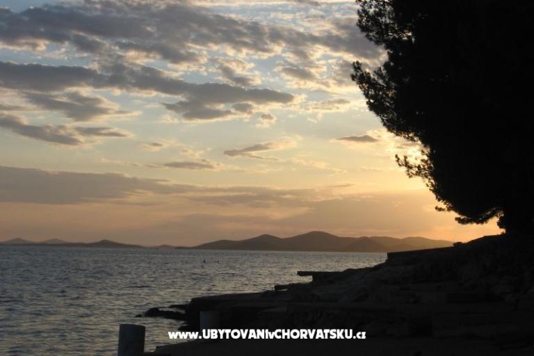 Apartments Šimun – photo 30