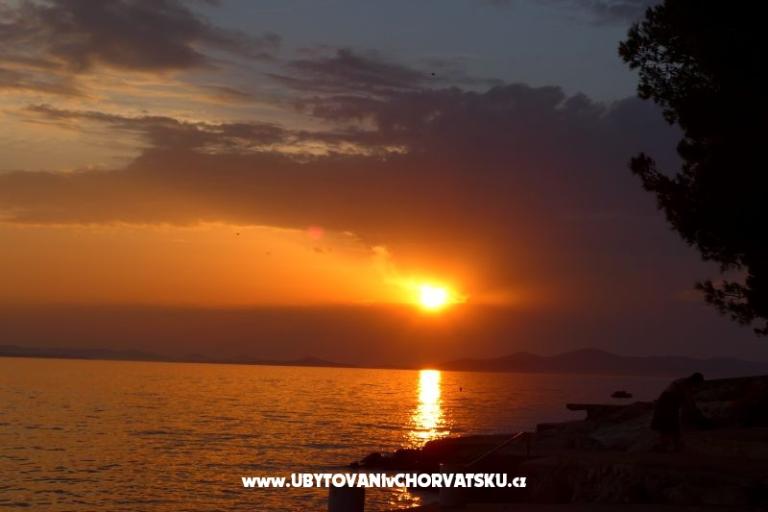 Apartments Šimun – photo 31