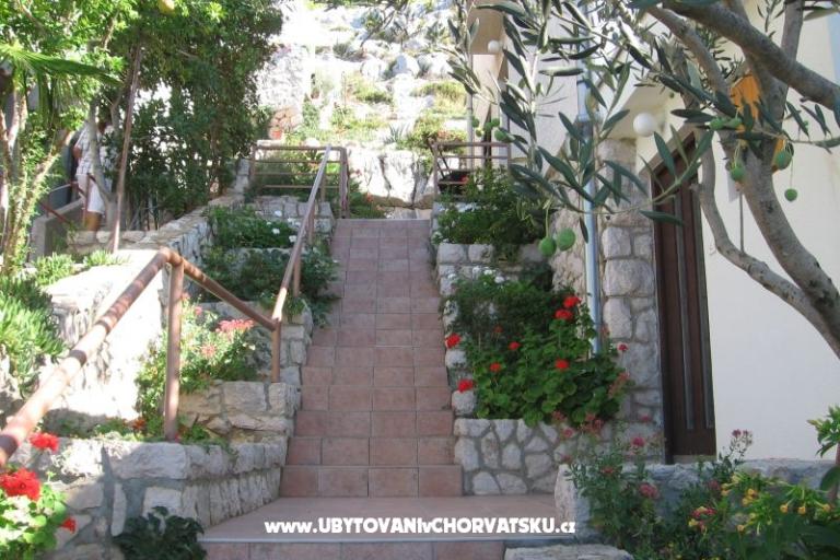 Apartments Šimun – photo 7