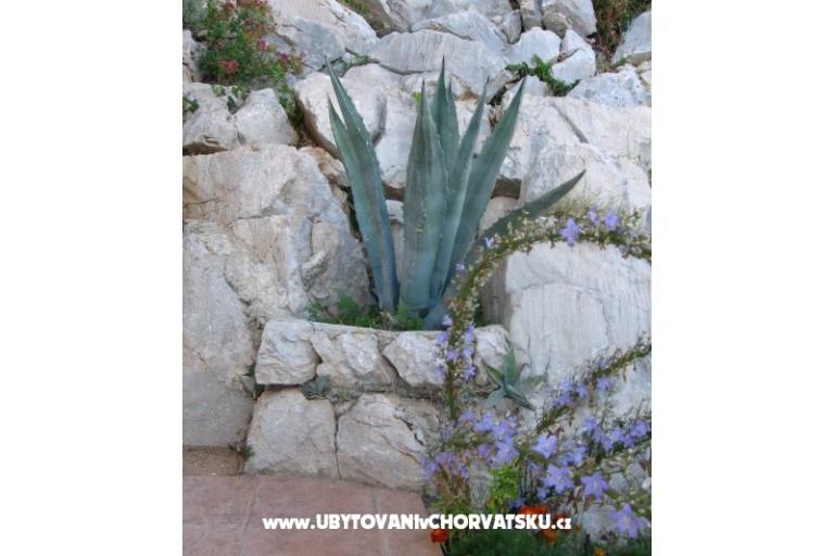 Apartments Šimun – photo 8