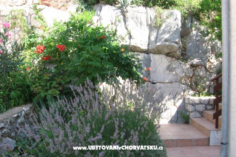 Apartments Šimun – photo 9