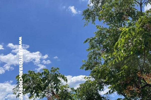 Apartments Tina Pakoštane – photo 10