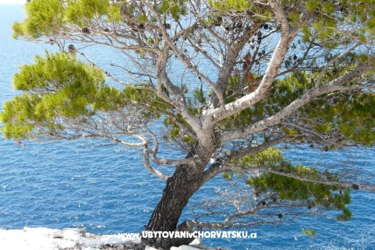 Apartmenty Stupavsky – photo 11