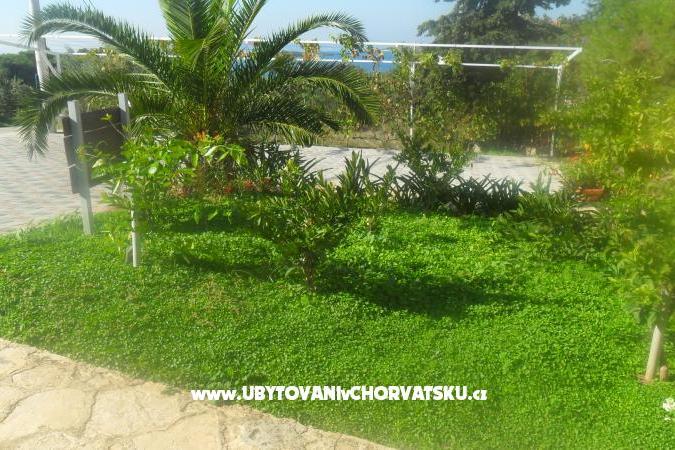 Apartments Leo – photo 13