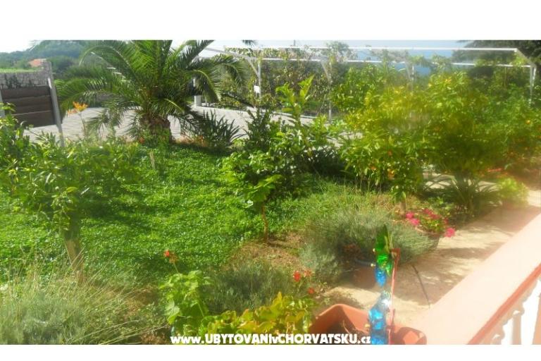 Apartments Leo – photo 22