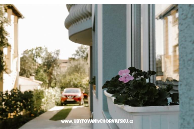 Apartments Ivišić – photo 7