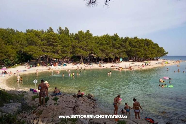 Apartments Roko  – photo 12