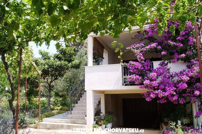 Apartments Roko  – photo 16