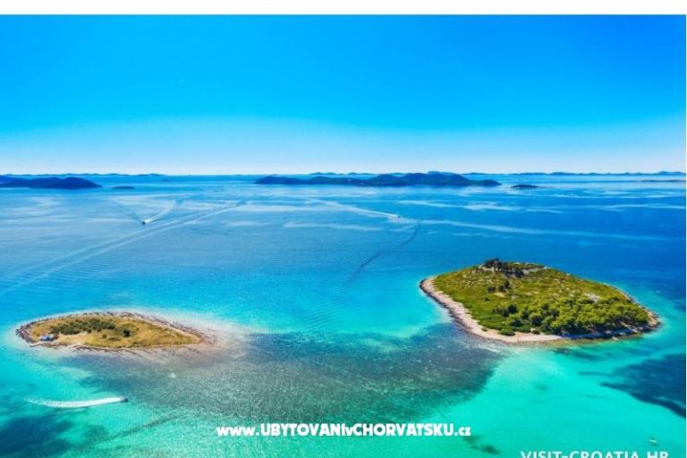 Apartments Roko  – photo 2