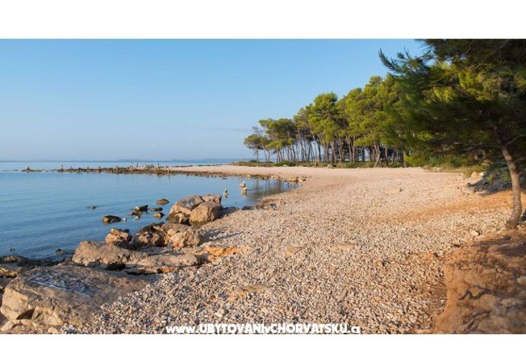 Apartments Roko  – photo 20