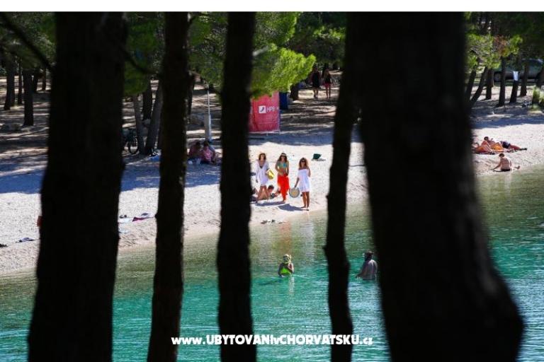 Apartments Roko  – photo 8