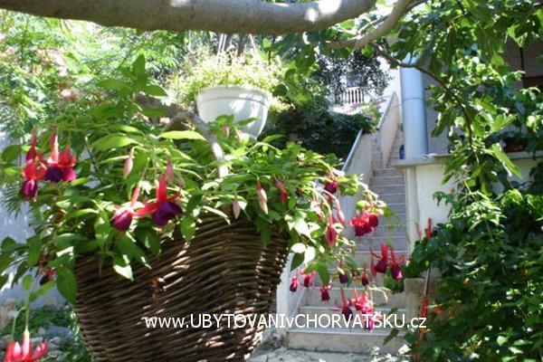 Apartments Sokalo-Petar – photo 4