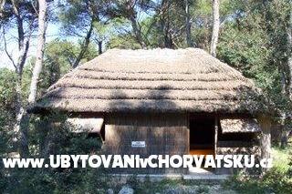 Pine Beach Pakoštane – photo 4