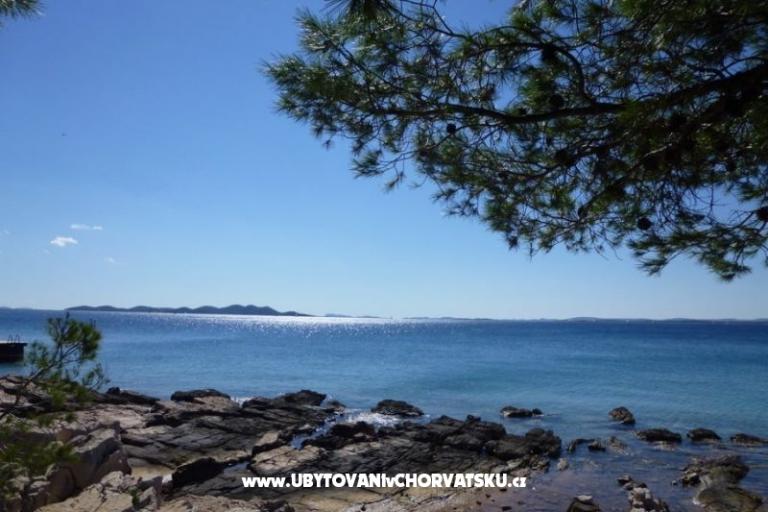 Pine Villa – photo 11