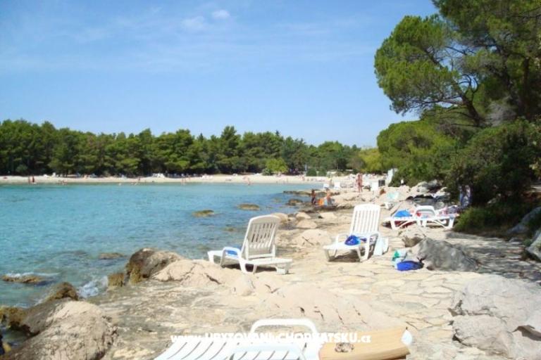 Pine Villa – photo 14