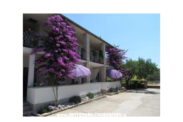 Apartments Pipi – photo 3