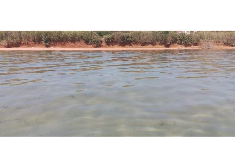 Tourist boat - Robinson Tourism – photo 13