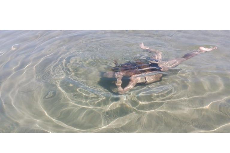 Tourist boat - Robinson Tourism – photo 14