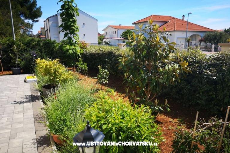 Villa Hana  – photo 10