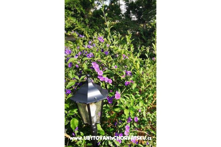 Villa Hana  – photo 11