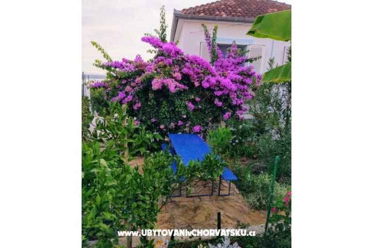 Apartments Marija-Tkon – photo 10