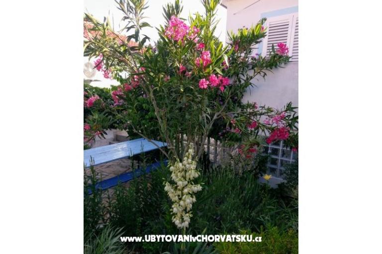 Apartments Marija-Tkon – photo 3