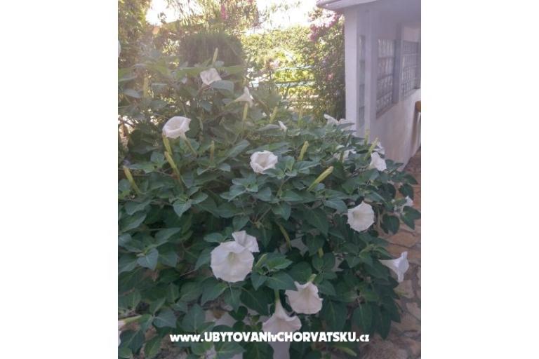 Apartments Marija-Tkon – photo 6