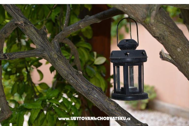 Apartments Branka – photo 15