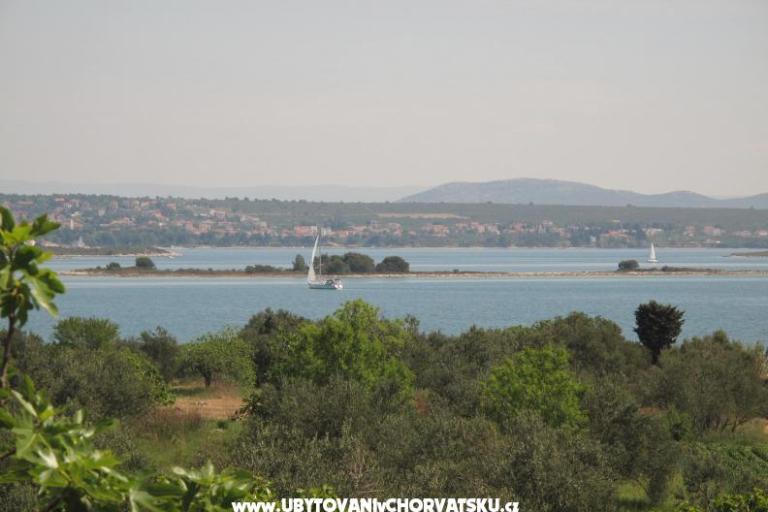 Apartments Villa Iva – photo 7