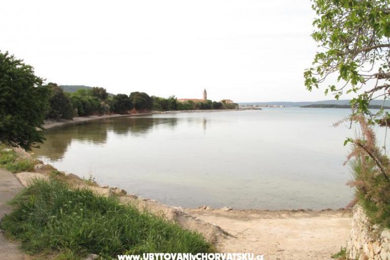 Apartments Villa Iva – photo 8