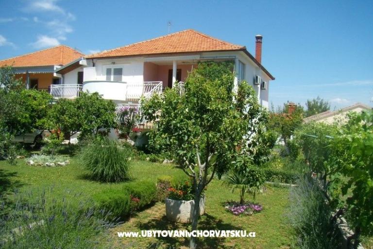 Apartments Lokva – photo 16