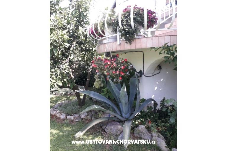 Apartments Lokva – photo 4