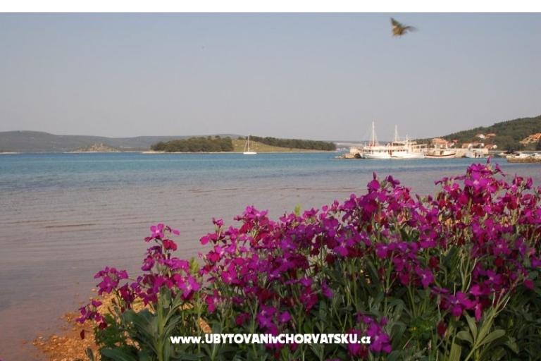 Apartments Marinero – photo 9