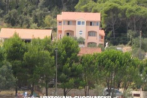 Apartments Maslina – photo 2
