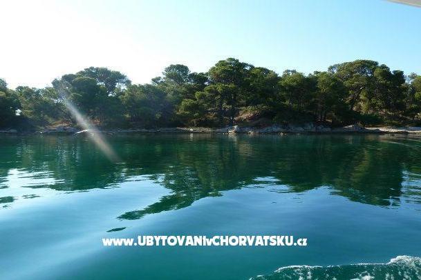 Apartments na moru – photo 7