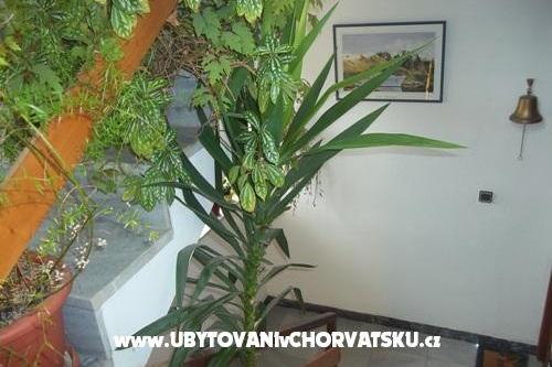 Apartments Dragica Pedisic – photo 9