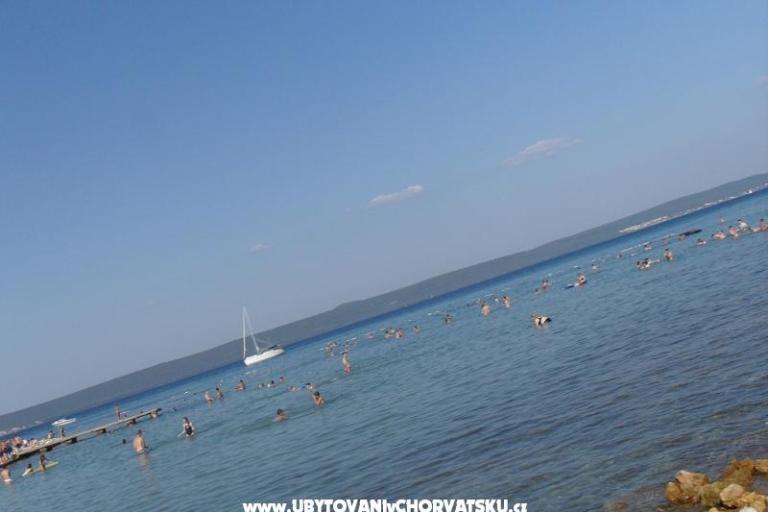 Apartments Varga – photo 12