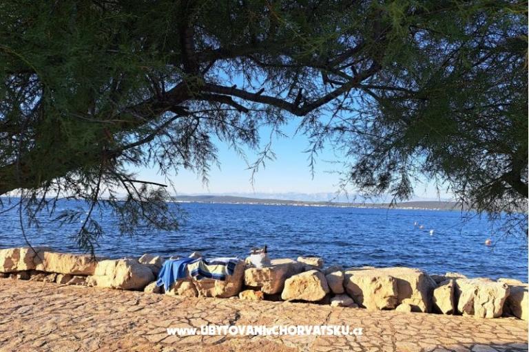 Apartments Villa Banjka – photo 10