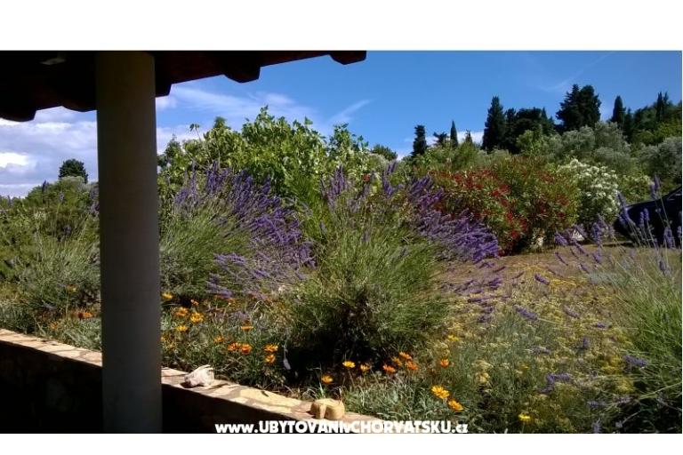 Apartments Villa Banjka – photo 9