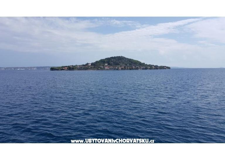 Apartments Ždrelac – photo 2