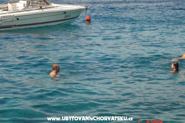 Apartments Ždrelac – photo 8