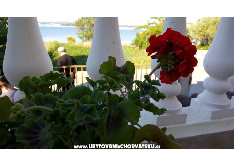 Apartments Nena – photo 2