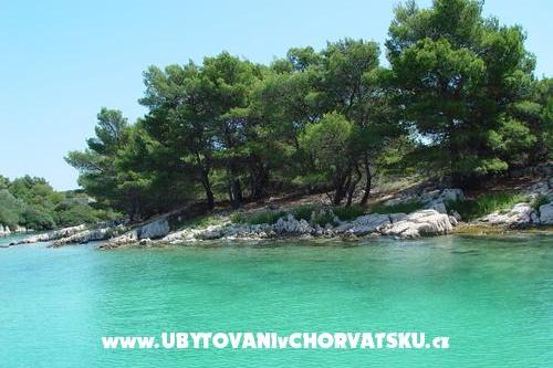 Apartments Pasman – photo 6