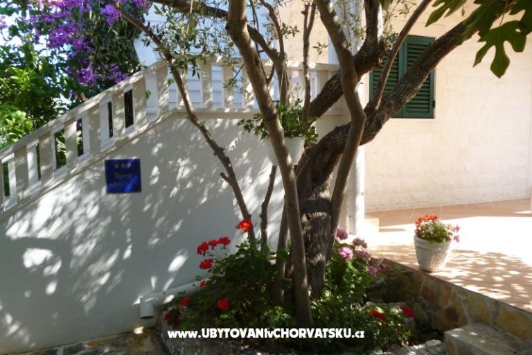 Apartments Suzana – photo 9