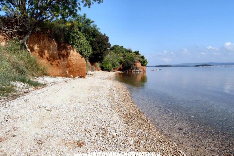 Pansion Muscet – photo 10