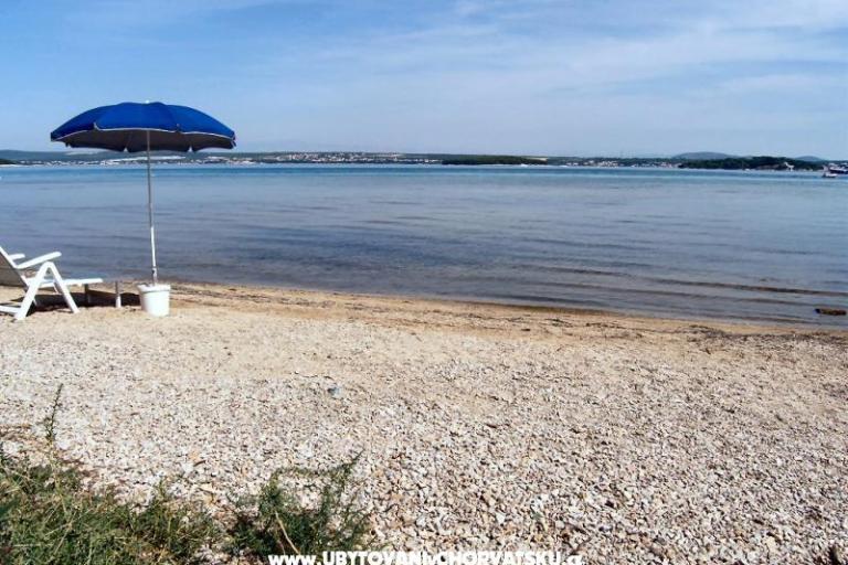 Pansion Muscet – photo 11