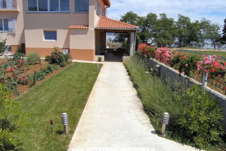 Pansion Muscet – photo 7